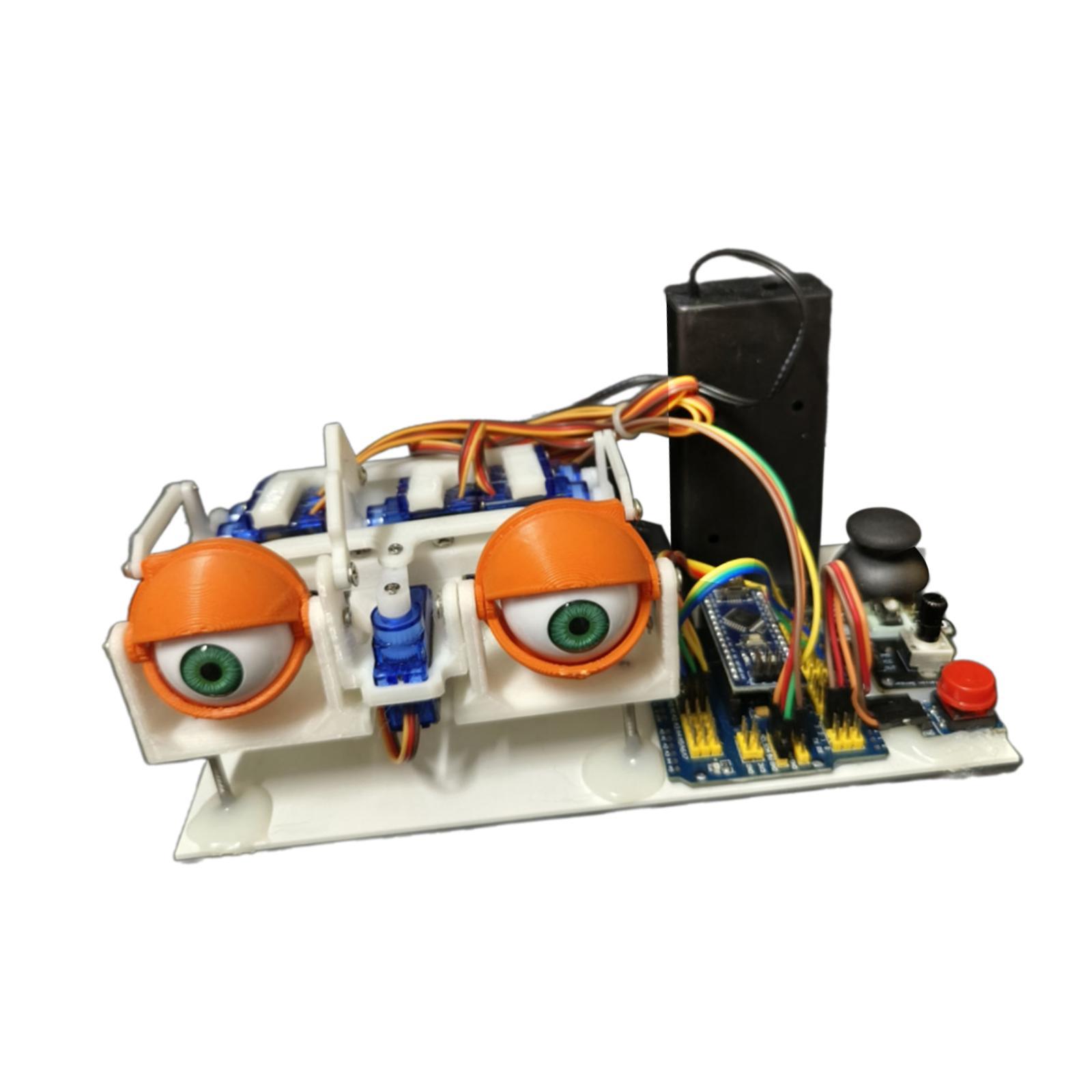 Science Project Kit - Animatronische Augen für STEM-Lernspielzeug, Wissenschaftsexperimente, kreative